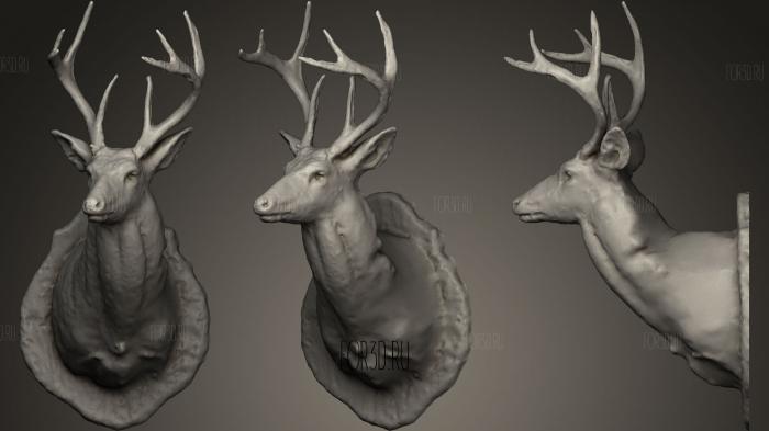 Deer Head Mount stl model for CNC